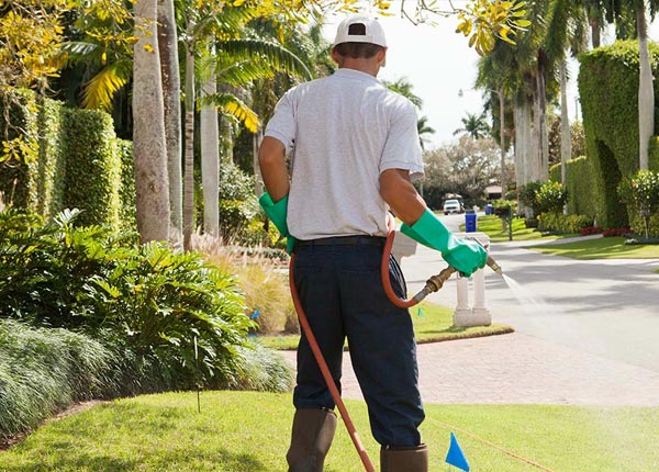 About Jackson CA Pest Control